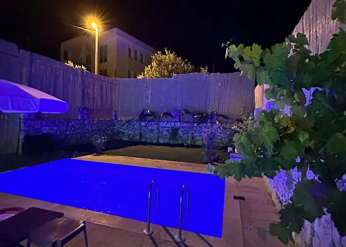 Welcome To Luna! 费特希耶