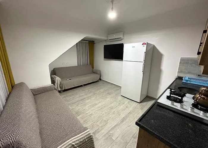 Welcome To Luna! * 费特希耶