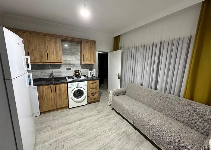 Welcome To Luna! * 费特希耶